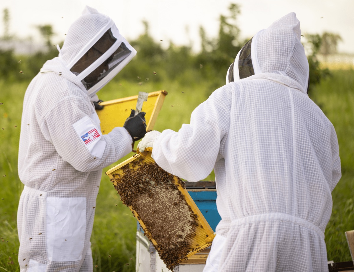 Hives for Heroes beekeepers working a hive